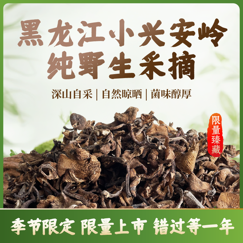 【野生榛蘑】黑龙江小兴安岭野生自然晾晒非烘干小鸡炖蘑菇去根正宗