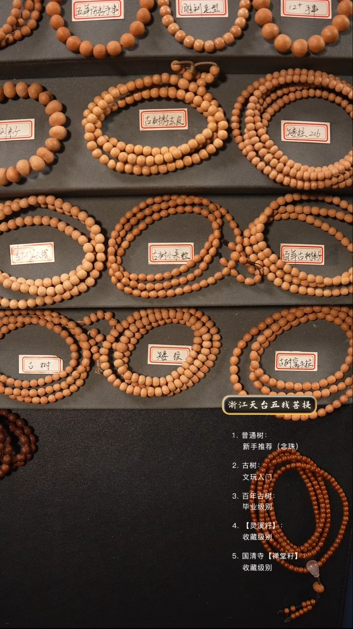 【闪购商品】五线菩提吊坠手串