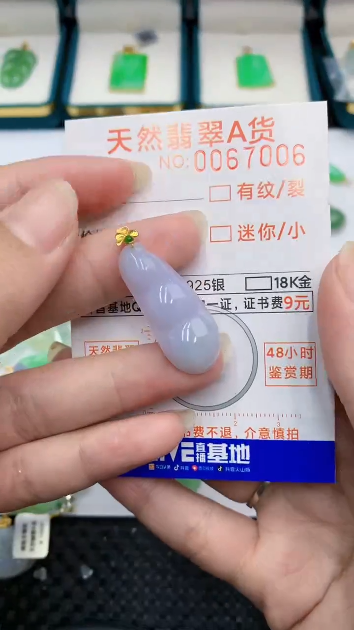 【闪购商品】翡翠颈饰18K金镶嵌            8