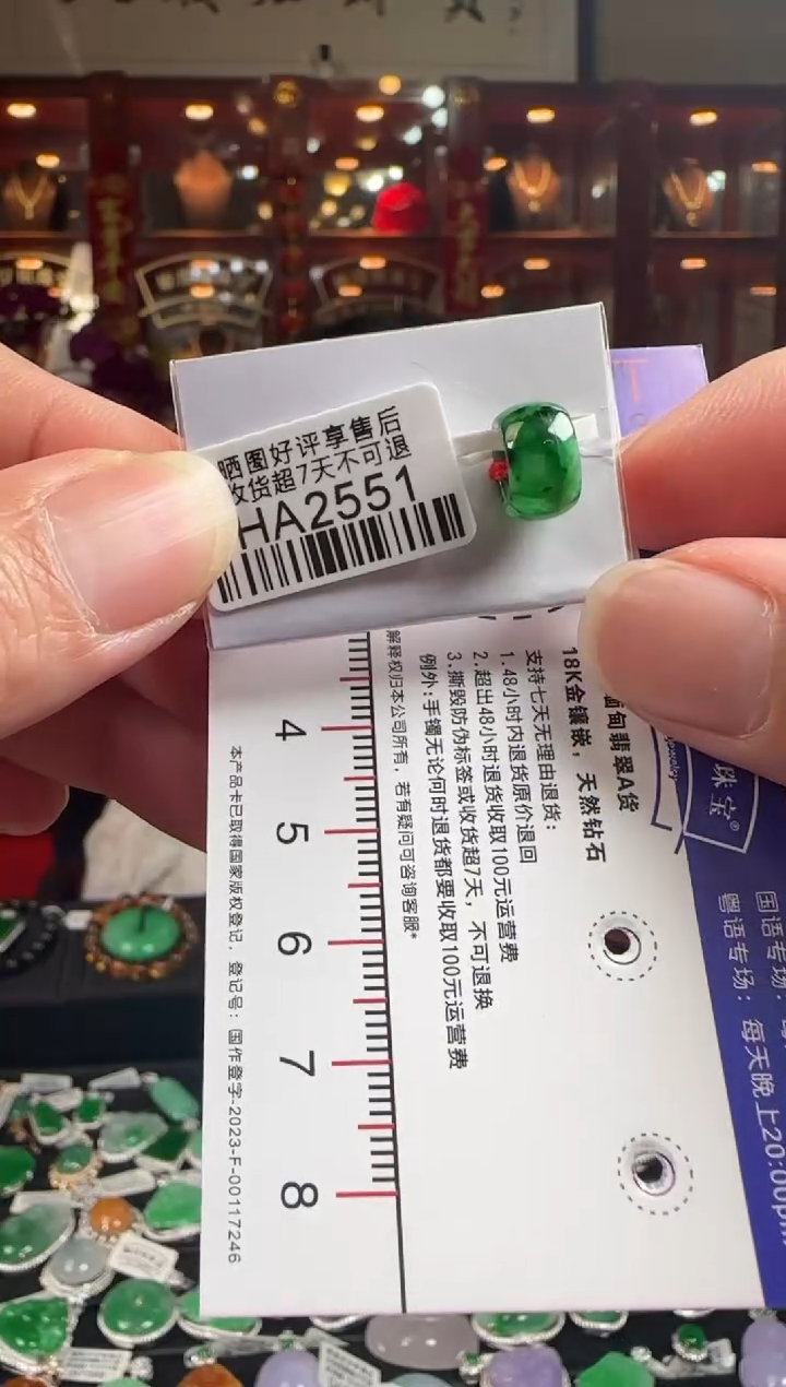 【闪购商品】翡翠颈饰未镶嵌HA2551 辣绿路路通