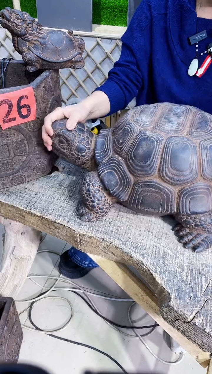 【闪购商品】复合造景y-058