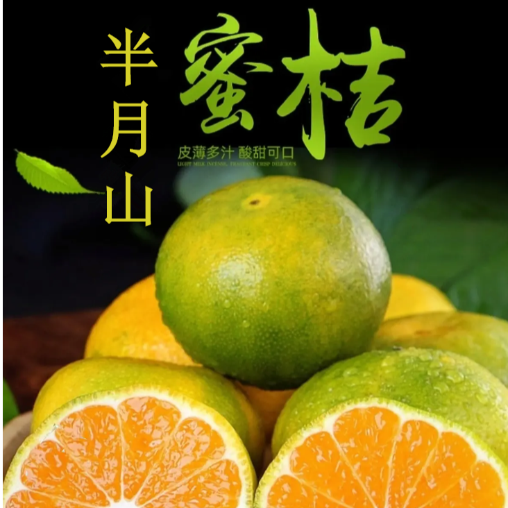 zm【新鲜】半月山青皮蜜桔无核无籽酸甜多汁当季现摘蜜桔孕妇水果