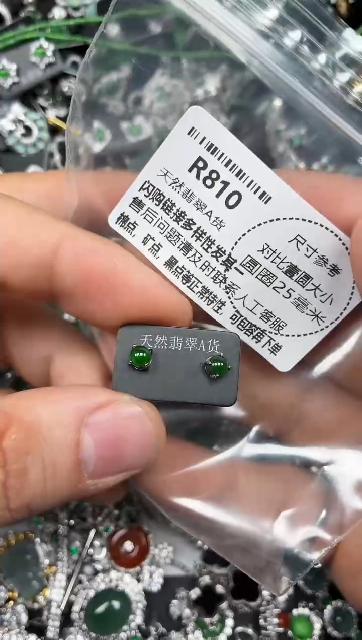 颈饰未镶嵌翡翠R810耳钉