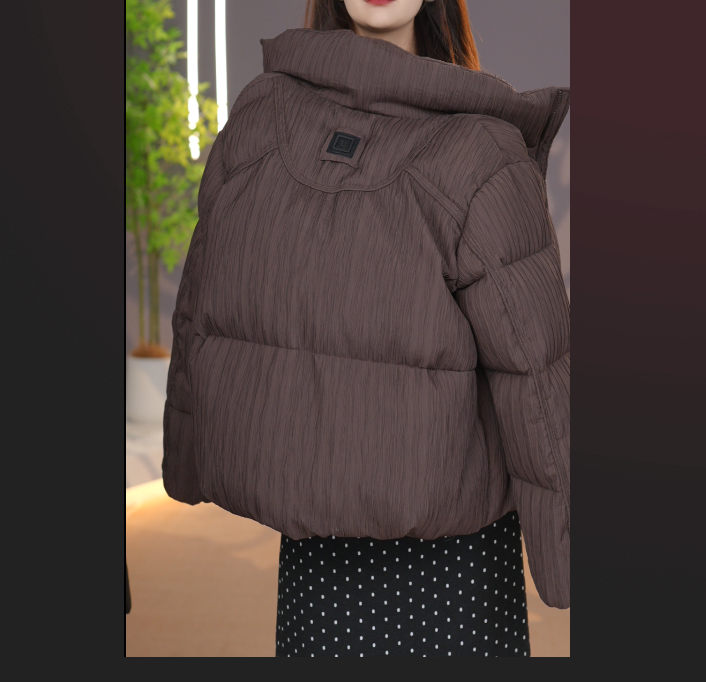 简约通勤宽松休闲羽绒服2025冬季新款舒适百搭厚款保暖上衣-栗子