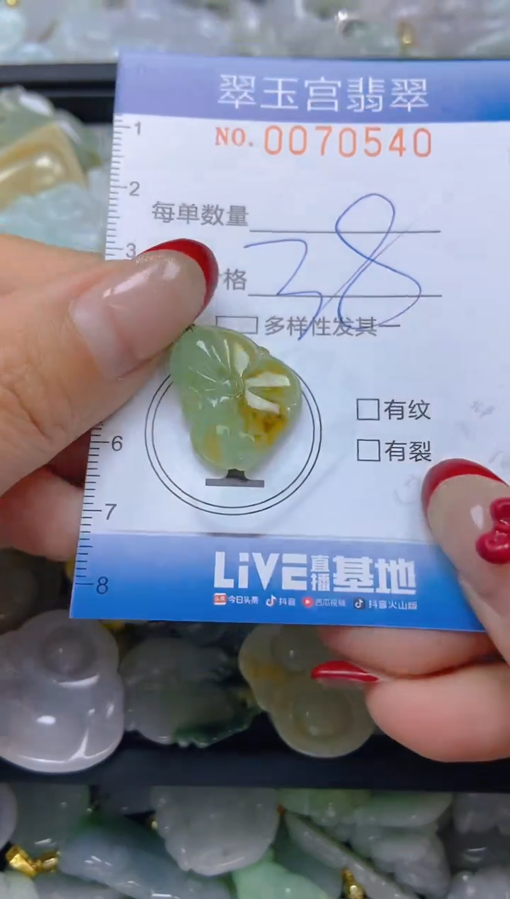 【闪购商品】翡翠颈饰未镶嵌闪购0070540