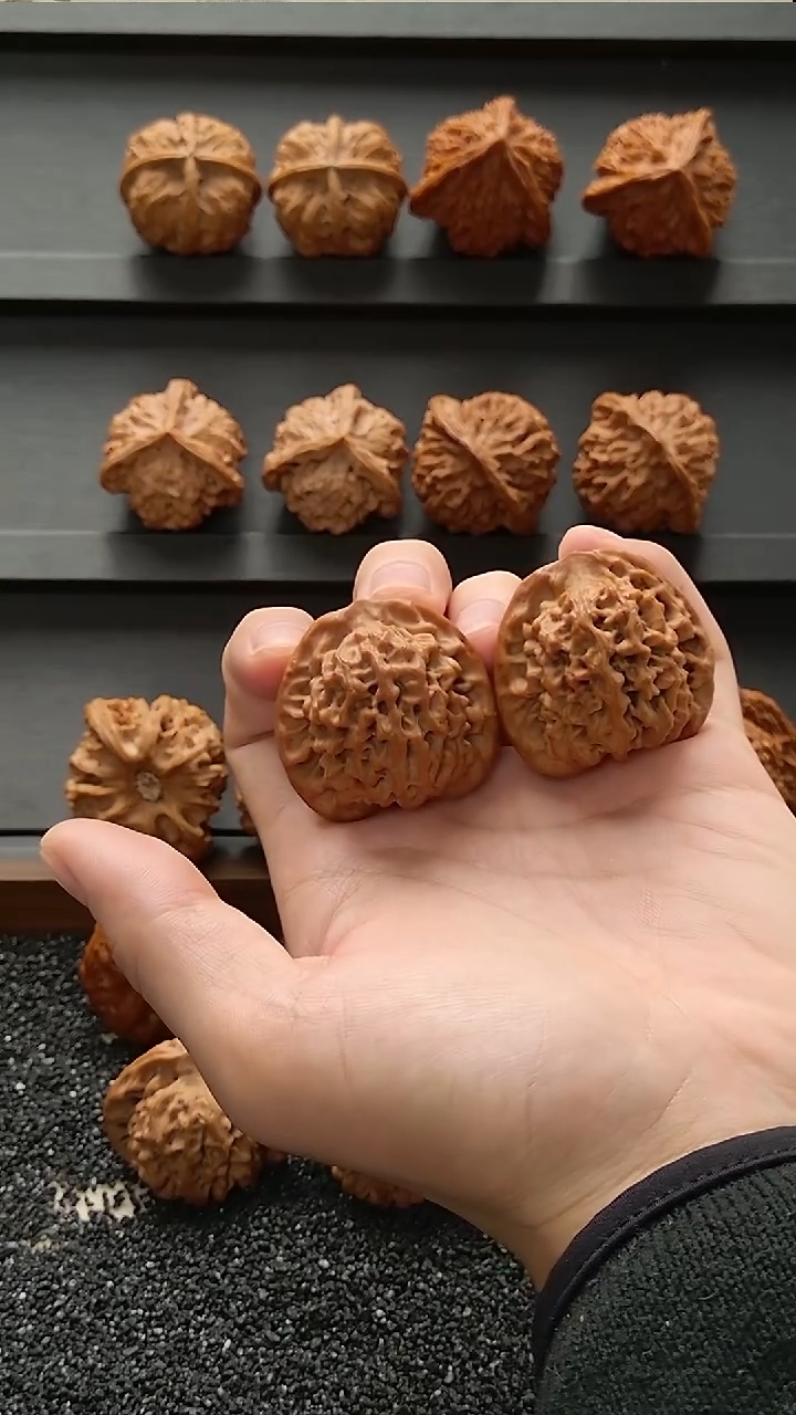 把件文玩核桃秦闷38mm（中桩满是珊瑚纹）