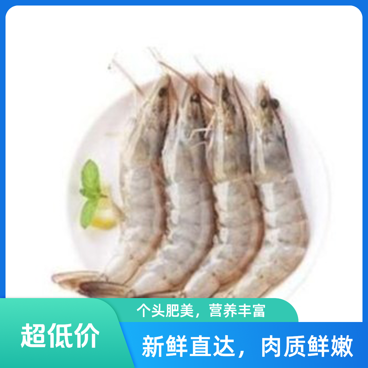 【特价】冰鲜虾250g