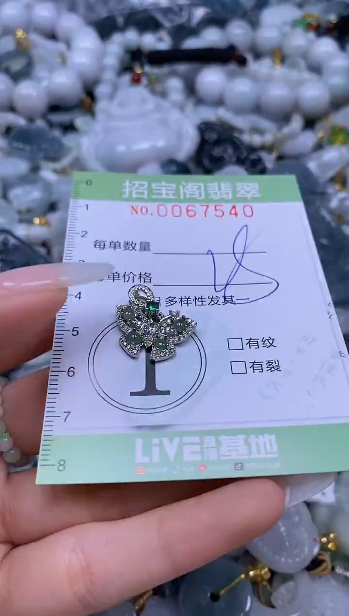 【闪购商品】翡翠未镶嵌颈饰闪购0067540