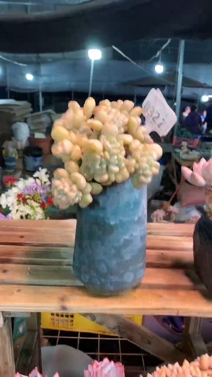 【闪购商品】032ZZZ