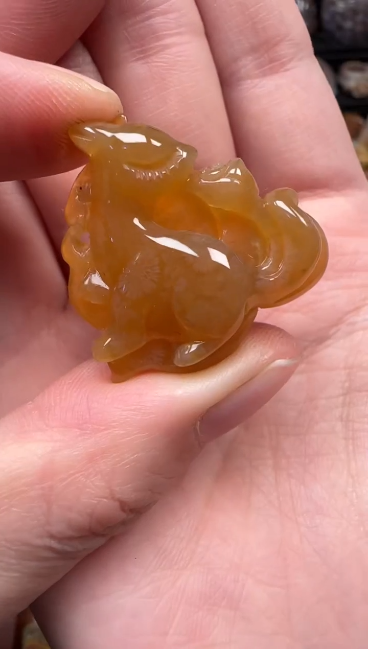 颈饰未镶嵌硅化珊瑚（珊瑚玉）146