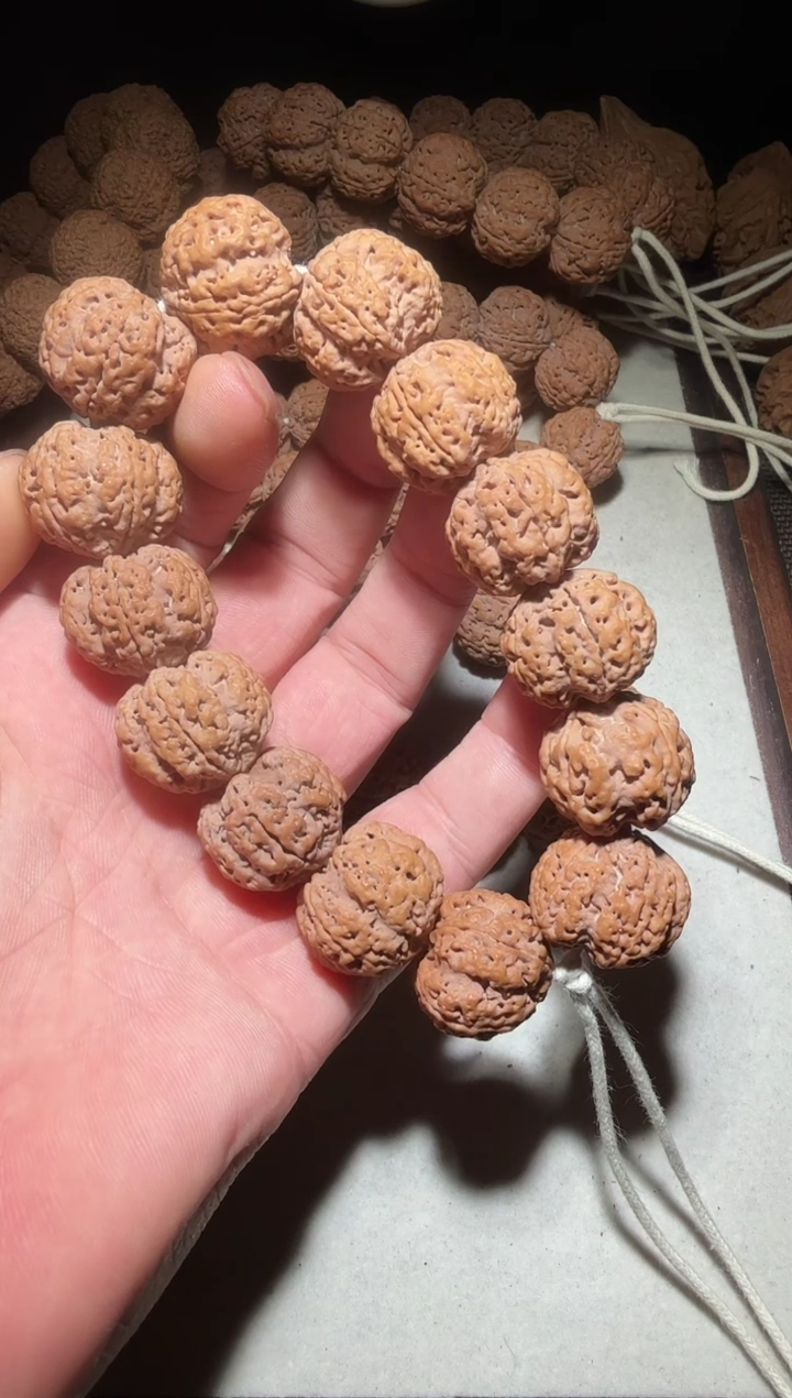 【闪购商品】金刚菩提手串粗筋深沟梅花双龙22