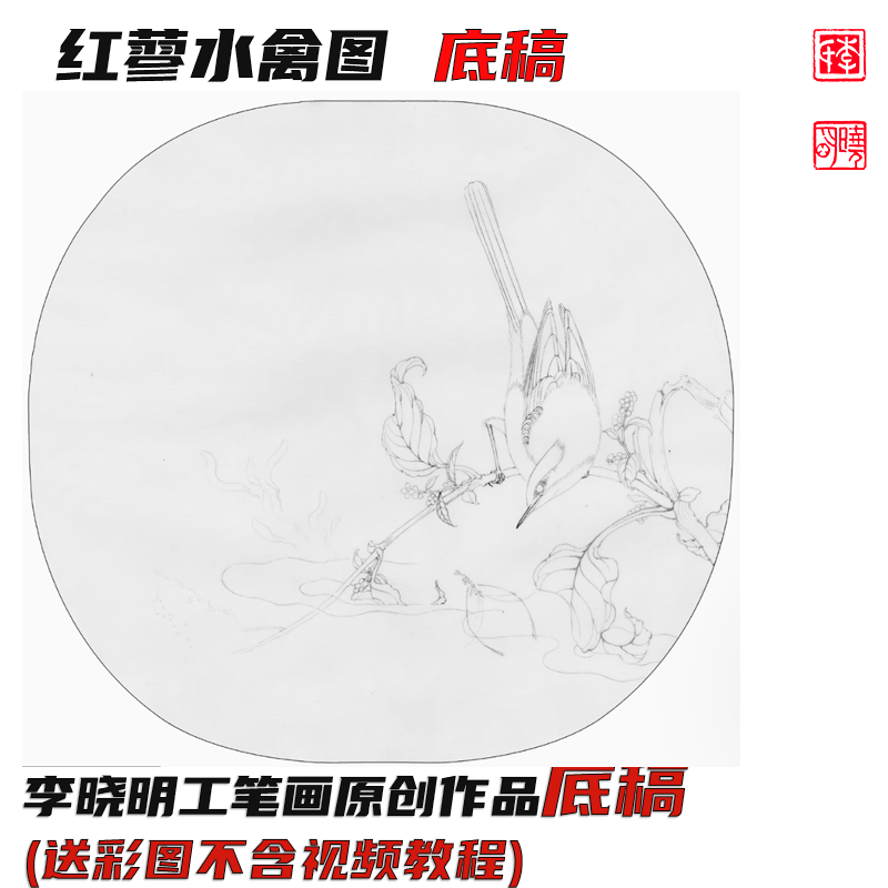 《临宋红蓼水禽图》底稿 李晓明工笔画线稿（含A3彩图）38x36cm
