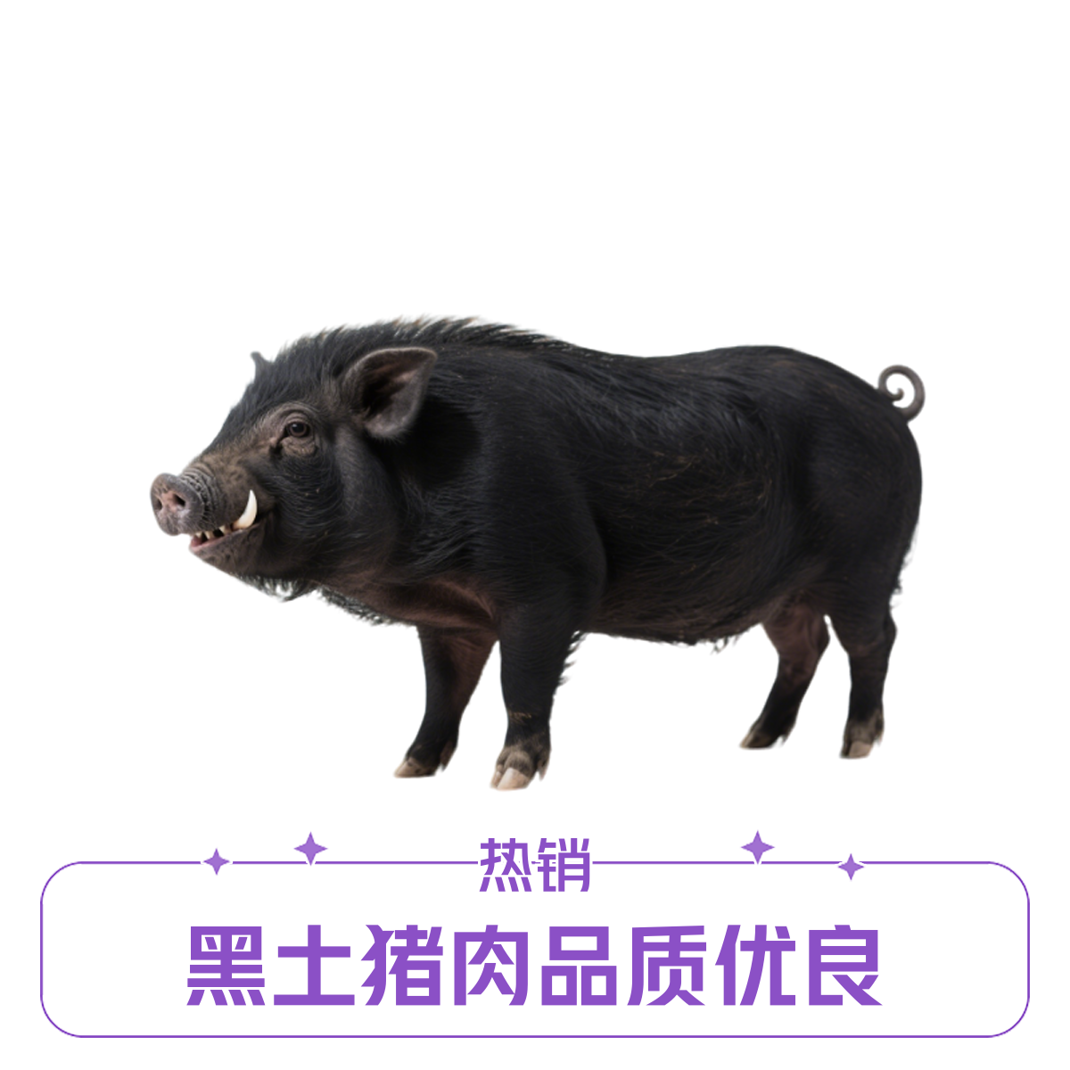 [2号链接]猪肉直播改价