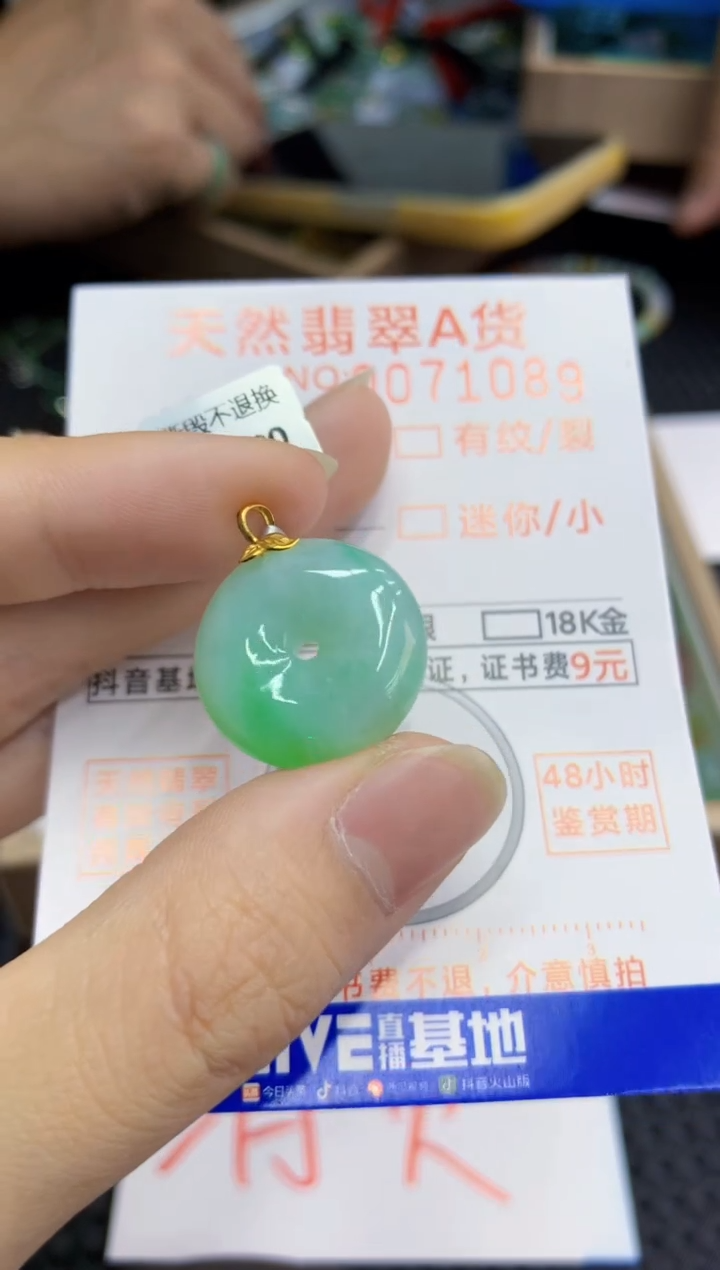 翡翠18K金镶嵌颈饰        1