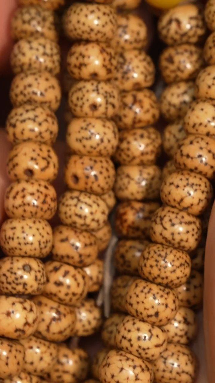 冲赛康胡子哥，藏传念珠267