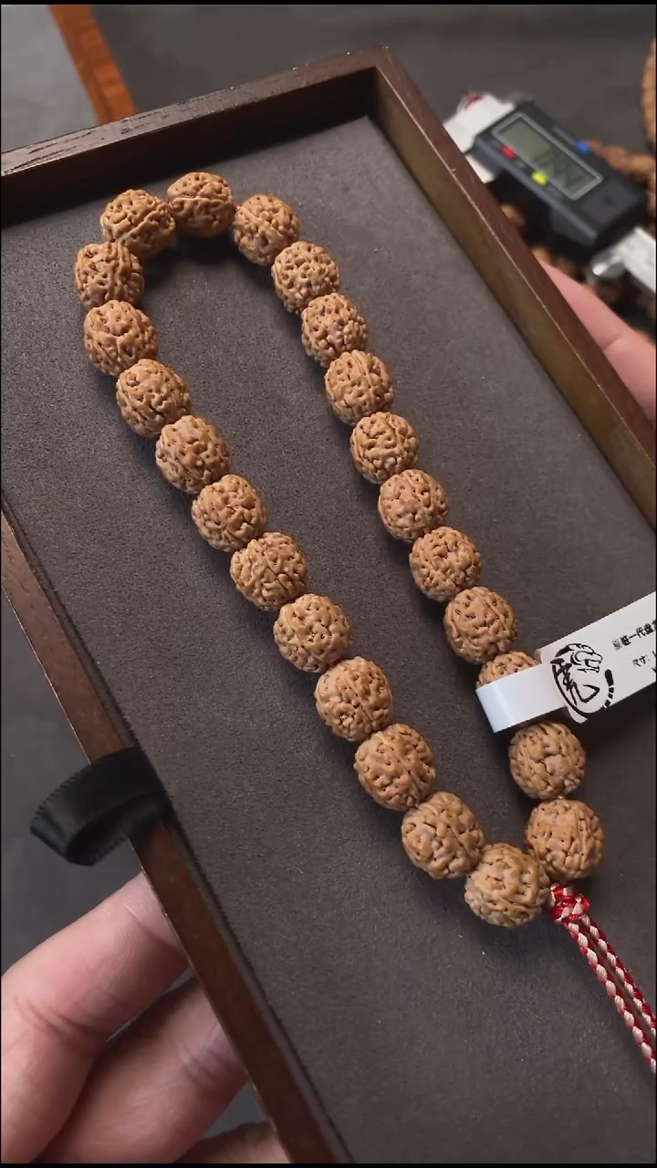 手串金刚菩提大尺寸纯血头货一代盘龙纹手持（11mm+)