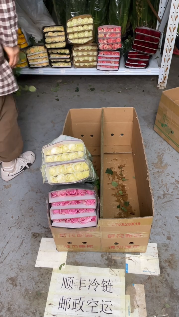 骄傲20枝+甜蜜雪山20枝