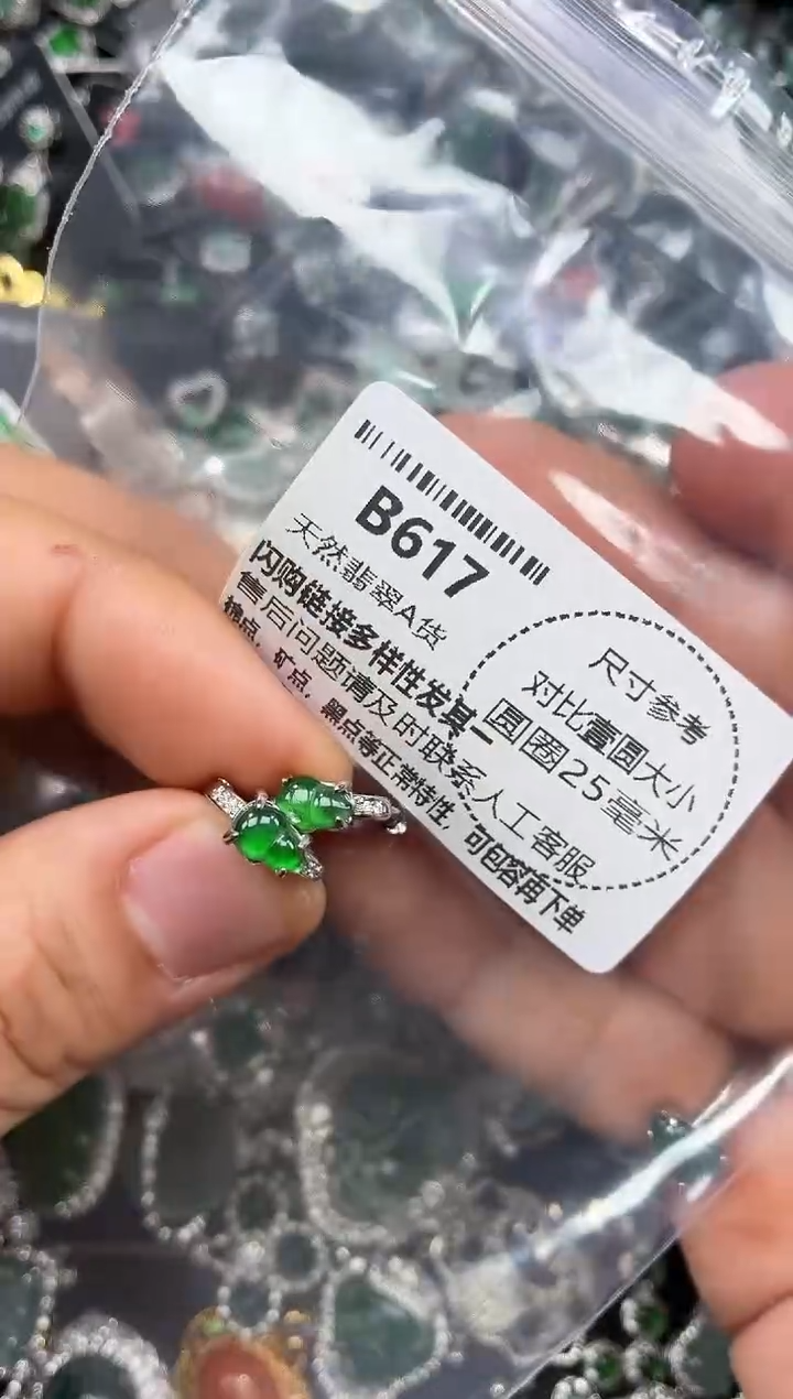 颈饰未镶嵌翡翠B617耳扣