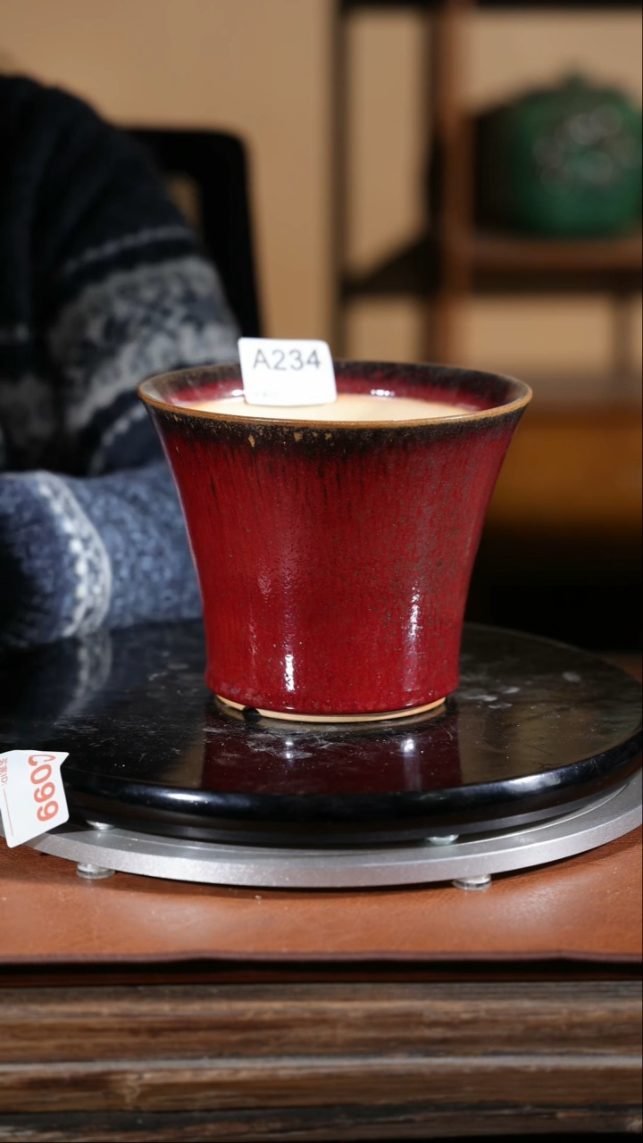 【闪购商品】红陶234