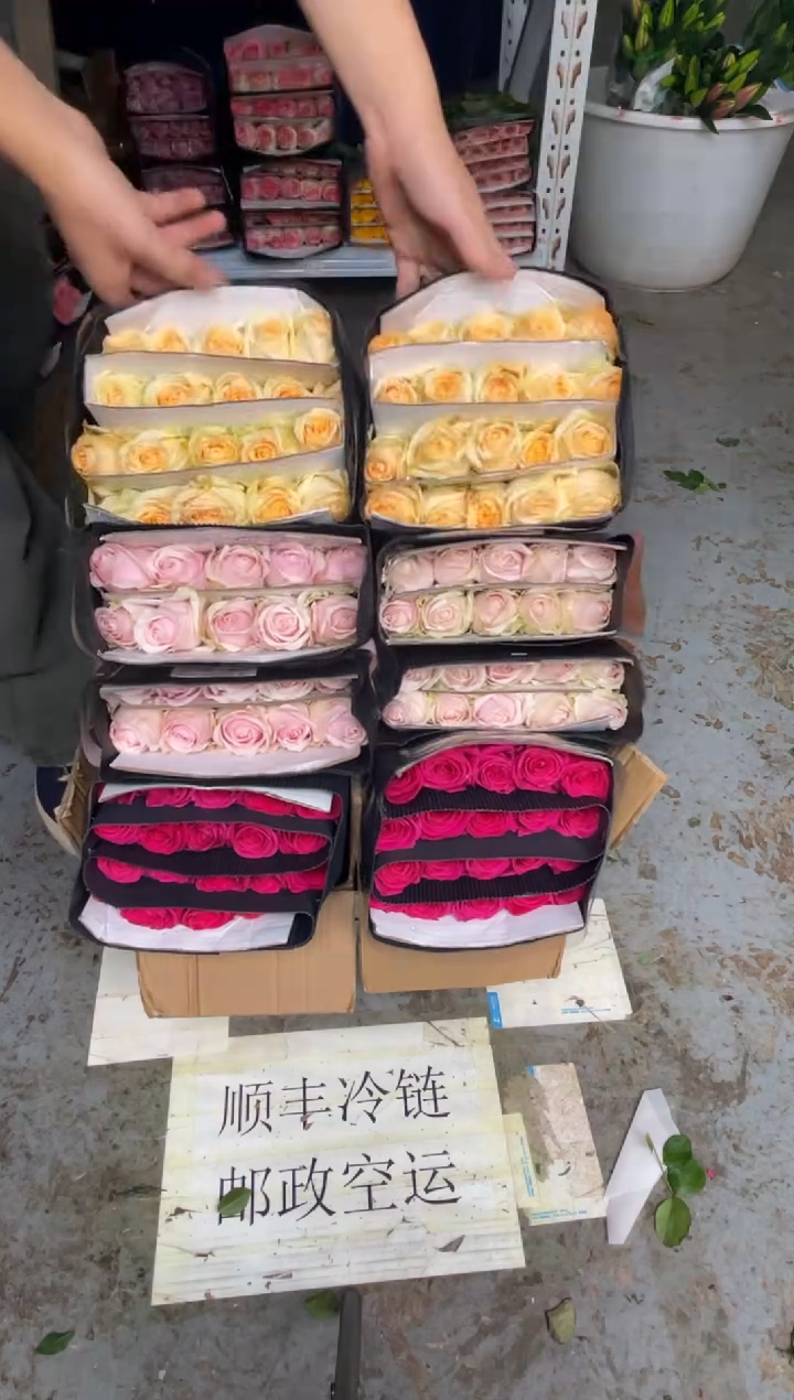 佛洛依德20枝+粉红20枝+香槟20枝