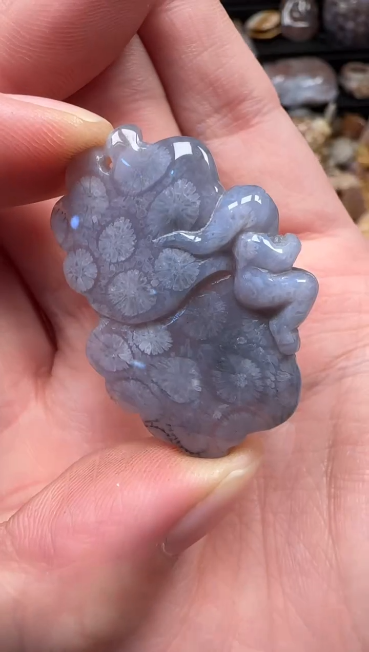 颈饰未镶嵌硅化珊瑚（珊瑚玉）137