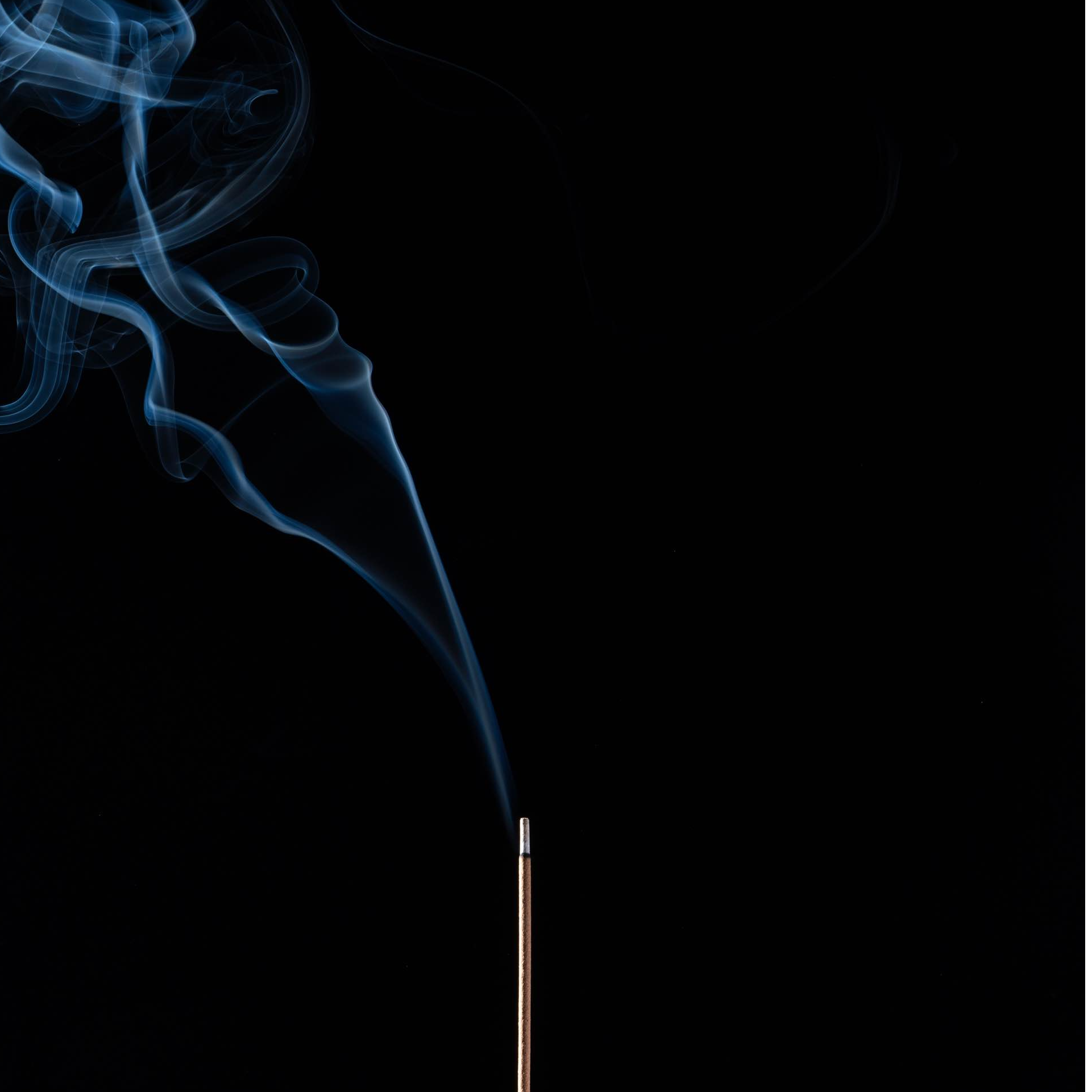 【二师兄专场福利】2016芽庄沉香线香200g