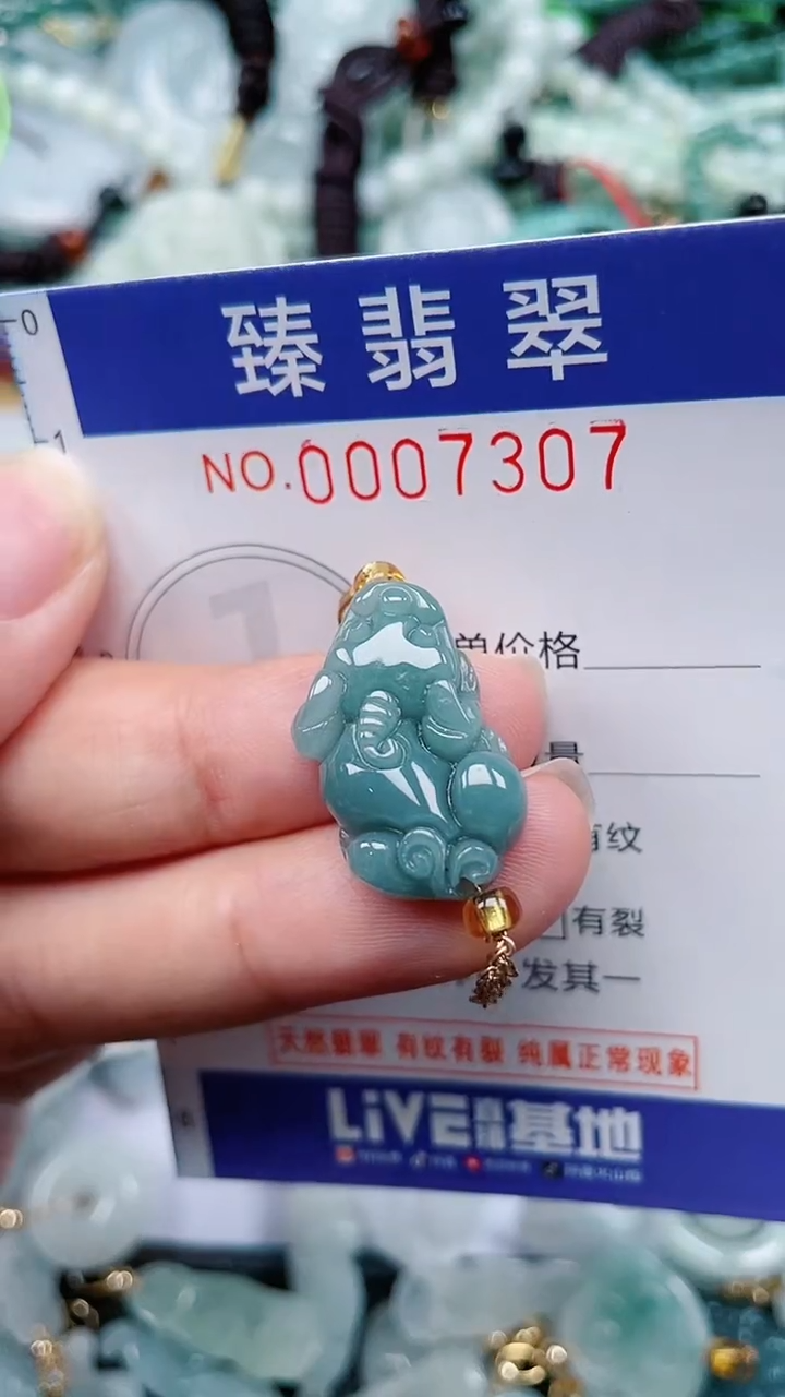 颈饰未镶嵌翡翠.0007307