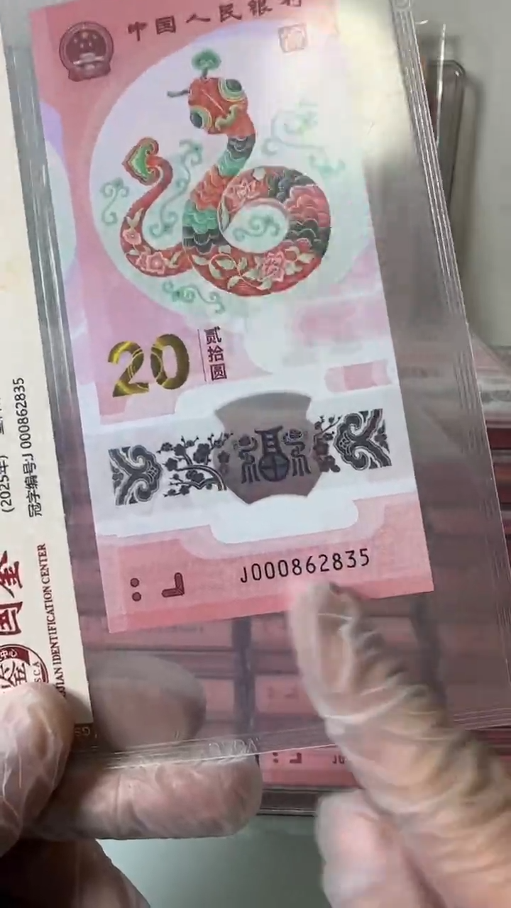 【闪购商品】塑料000862835-蛇钞单张！