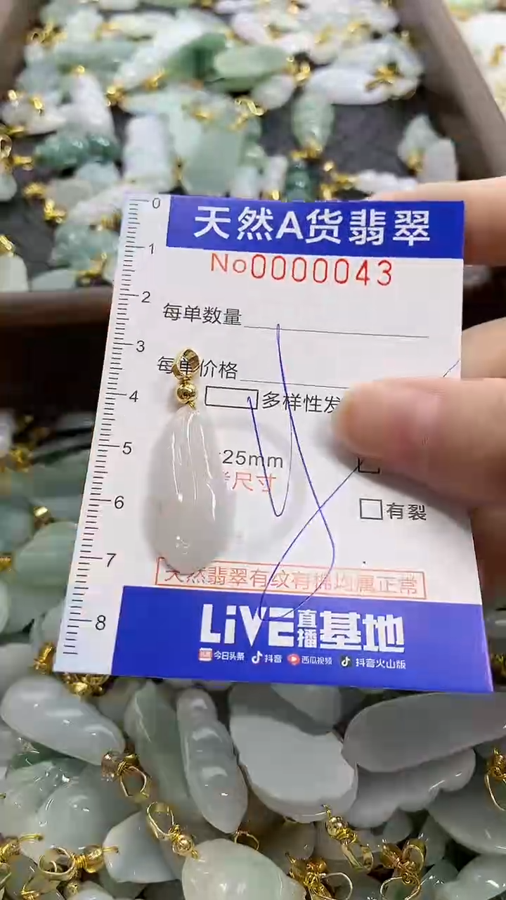 颈饰未镶嵌翡翠天然A货翡翠