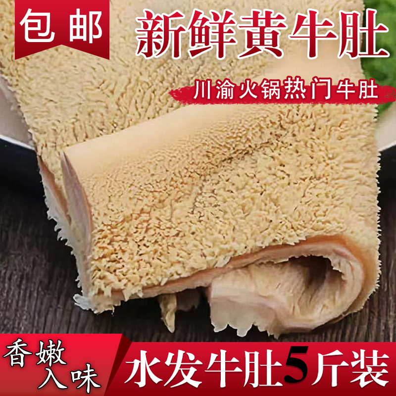 新鲜牛肚 5斤整只牛大肚 川渝火锅煲汤炒菜爆款固形物含量60%以上