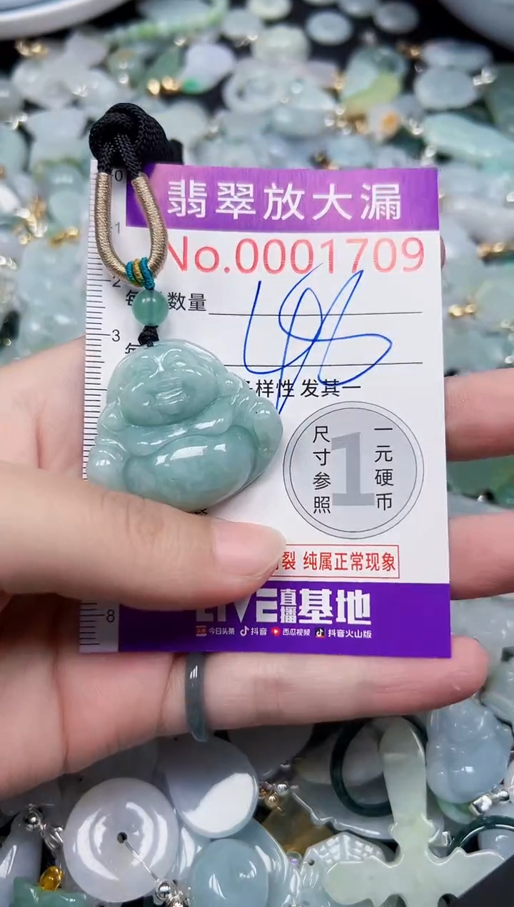 颈饰未镶嵌翡翠1709