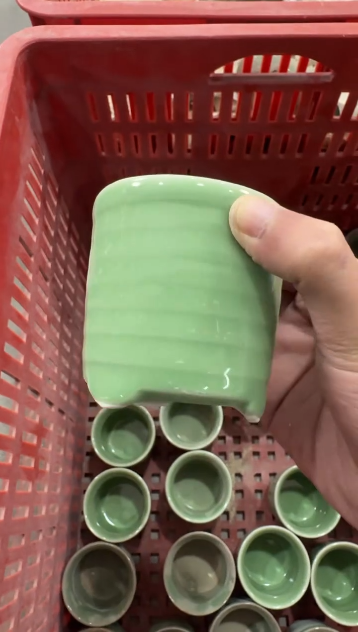 【221 】 八哥专拍