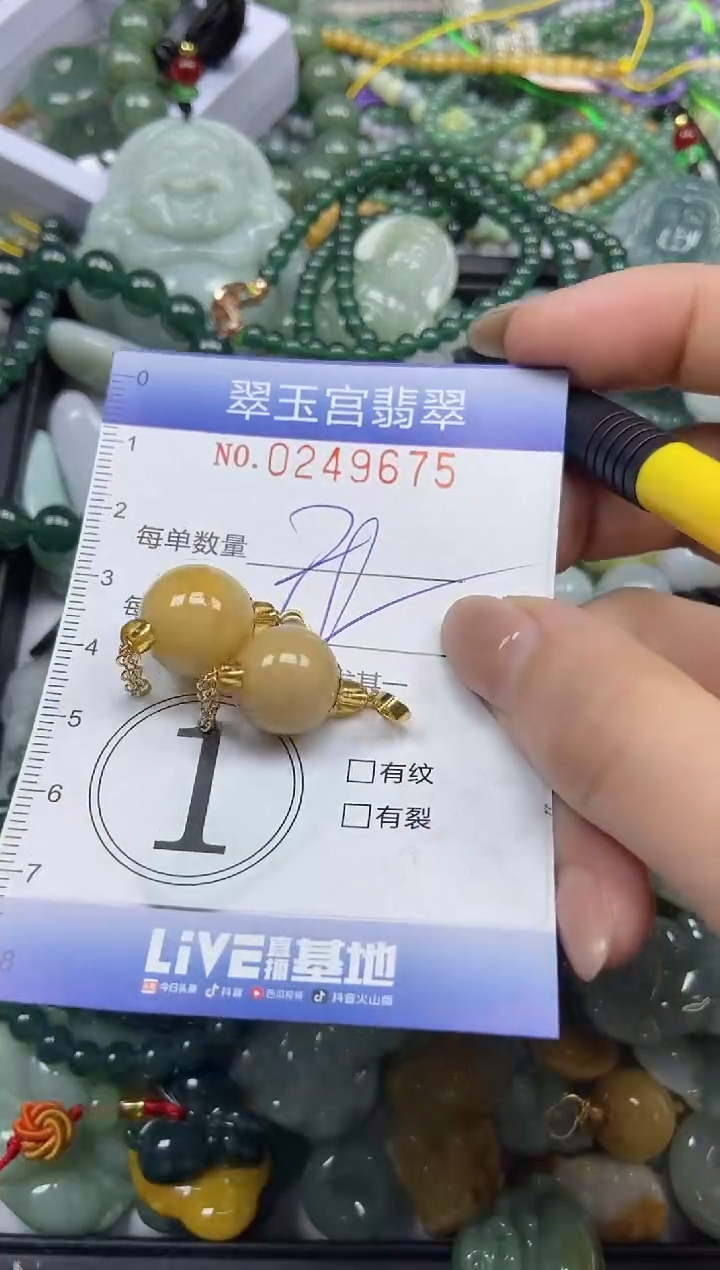 颈饰未镶嵌翡翠闪购C0249675