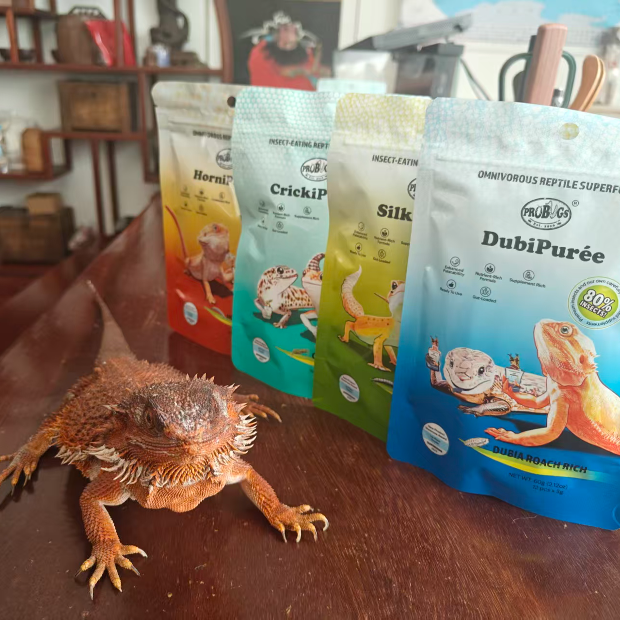 DubiPuree爬宠虫泥饲料鬃狮蜥睫角守宫蓝舌昆虫泥