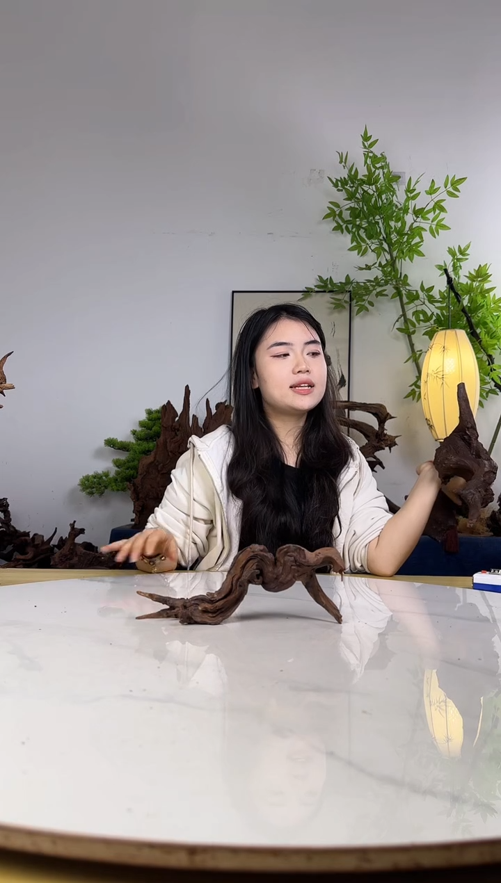 神****®拍沉木定向链接编号51