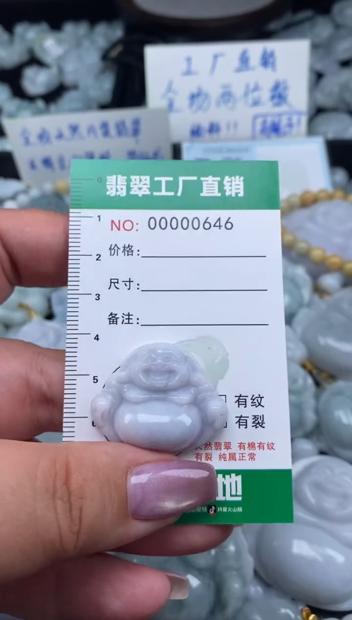 翡翠未镶嵌颈饰天然A货翡翠0646