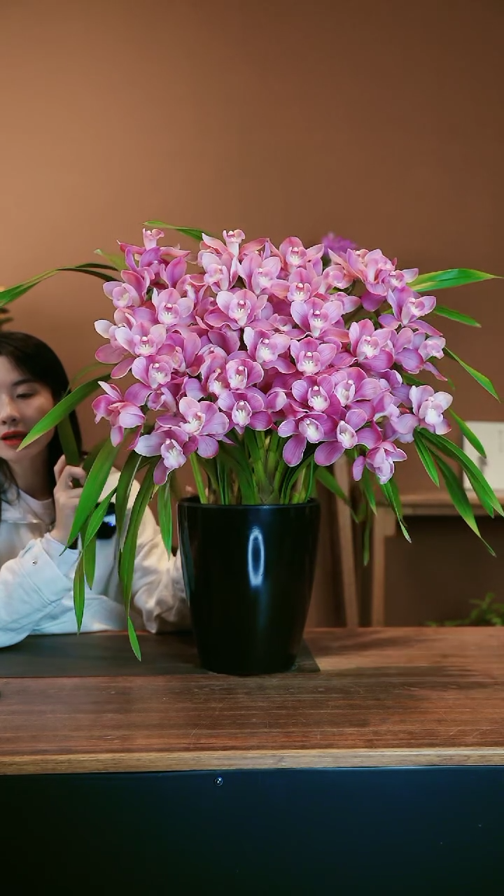 【闪购商品】盆景粉红露露 礼盒