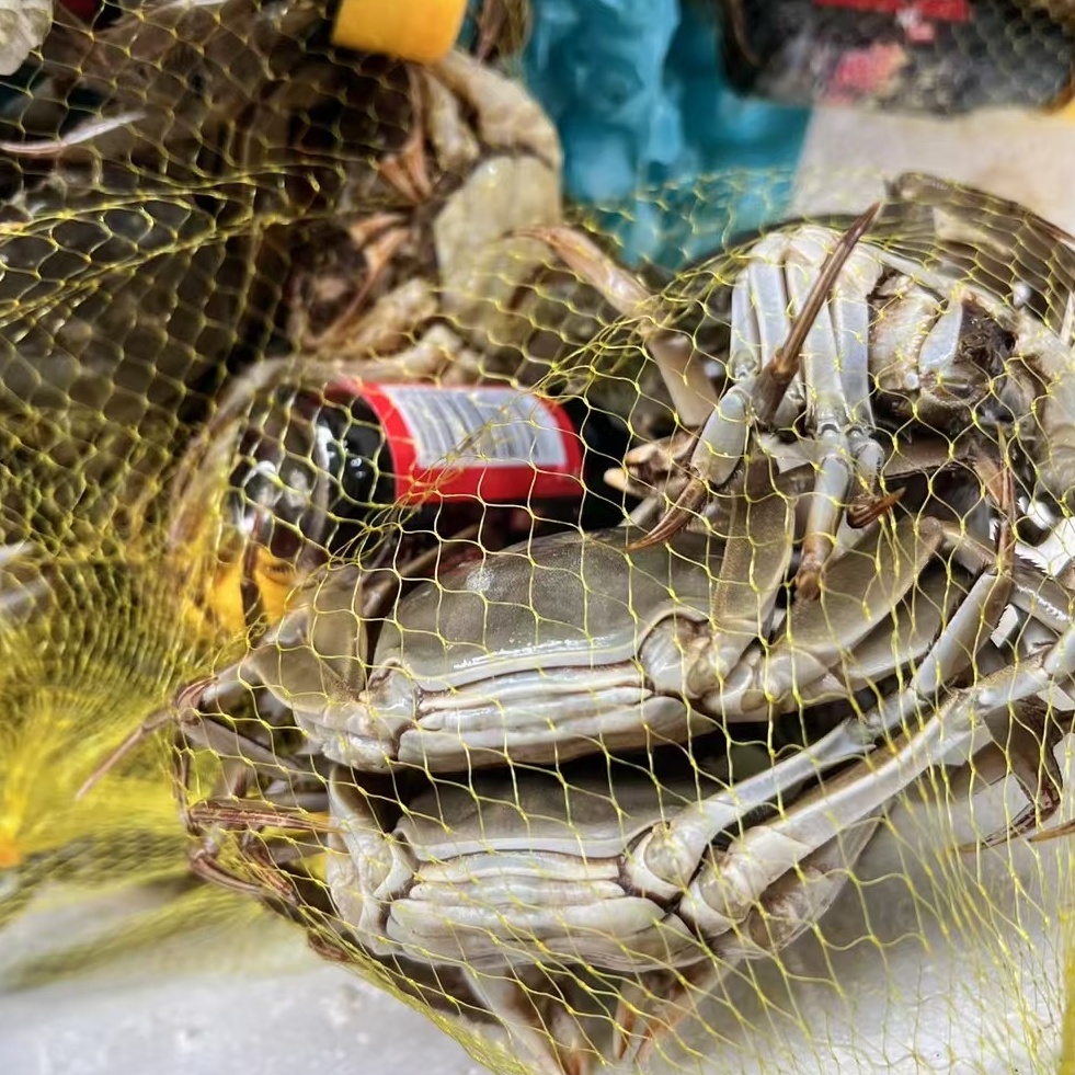 【1.8两活蟹 】1.5-1.8两河蟹 不捆绳全母蟹 10只 只发川渝