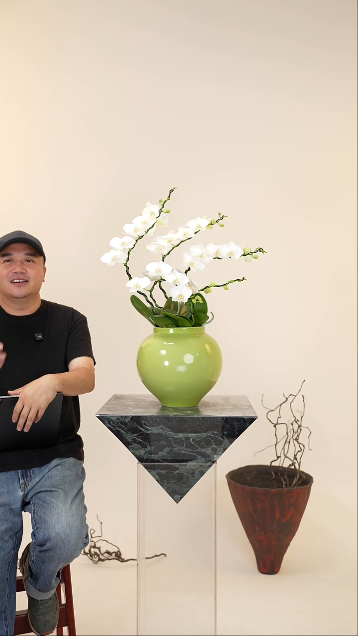 全部花朵007号链接【一物一拍】艺术盆景