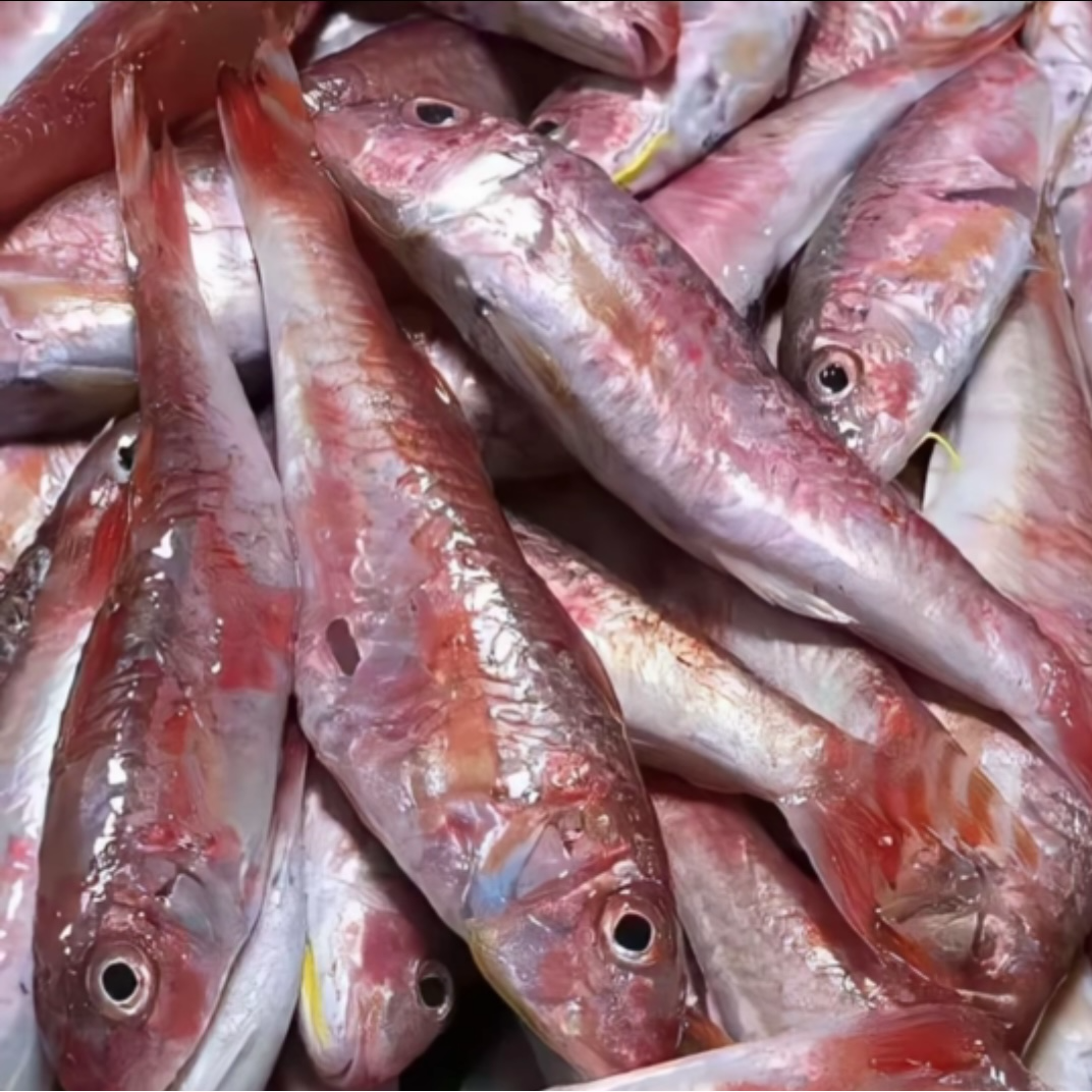 神泉本港正红鱼 香煎外酥里嫩