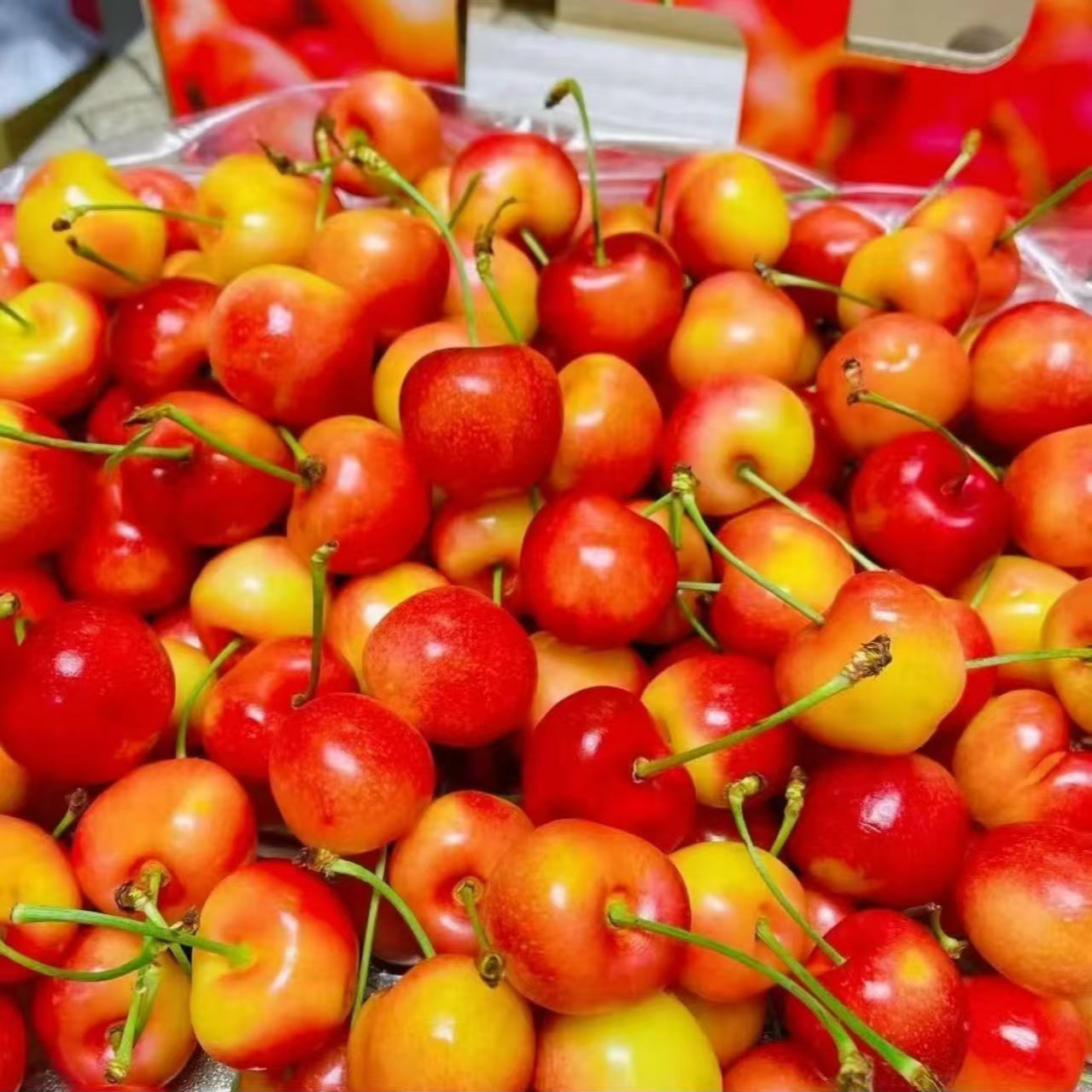 【4JD金车】智利进口雷尼尔车厘子【Rainier】  好吃 4.4斤原箱装 海运  包邮 内附果径卡雷尼尔樱桃智利共和国