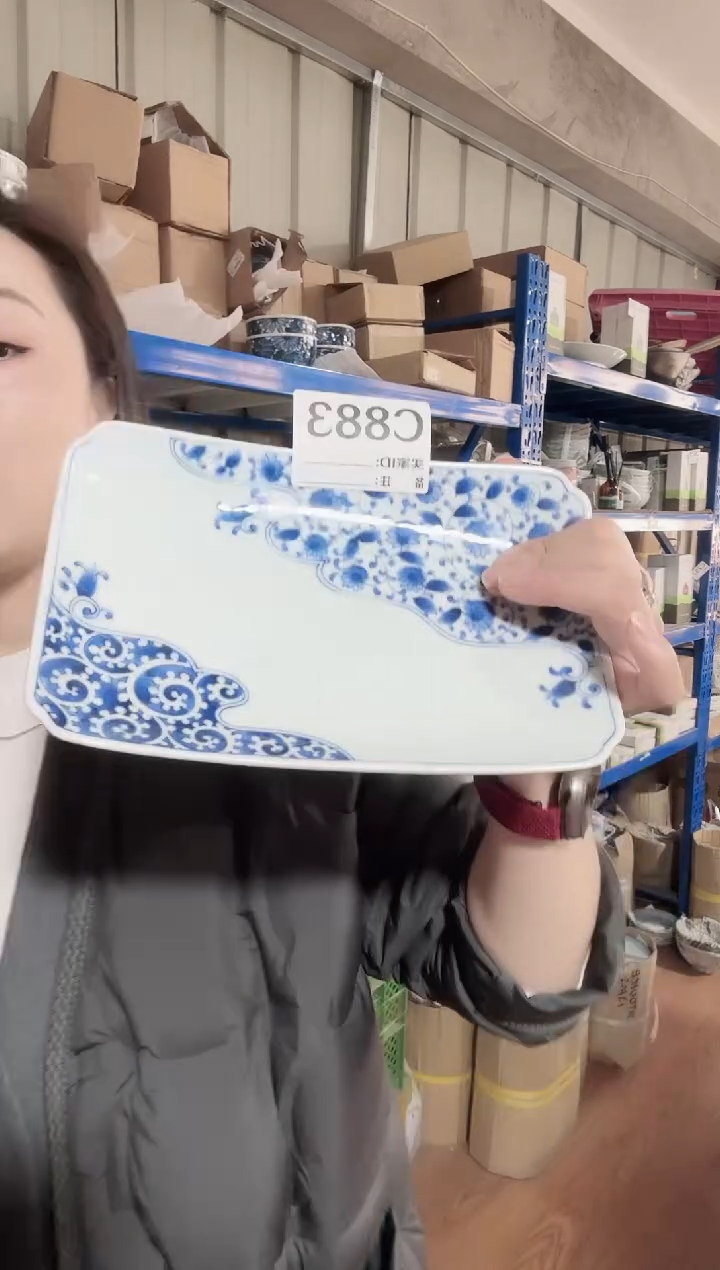 瓷片全新高端瓷器21.5cm长盘 C883（微瑕