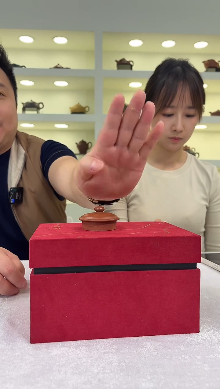 BGZ-0282紫砂壶盖