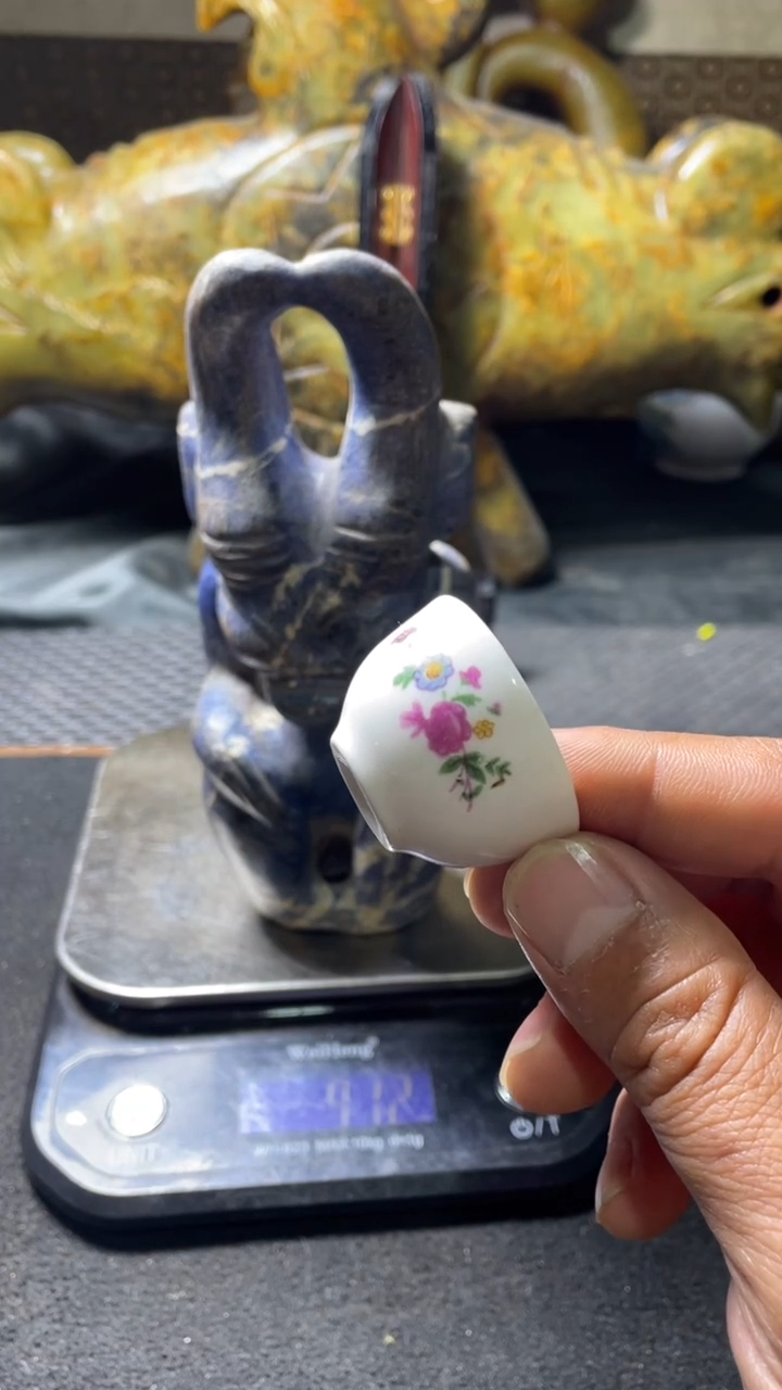 瓷片主播推荐好物