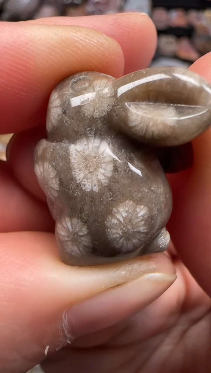 【闪购商品】硅化珊瑚（珊瑚玉）颈饰未镶嵌187