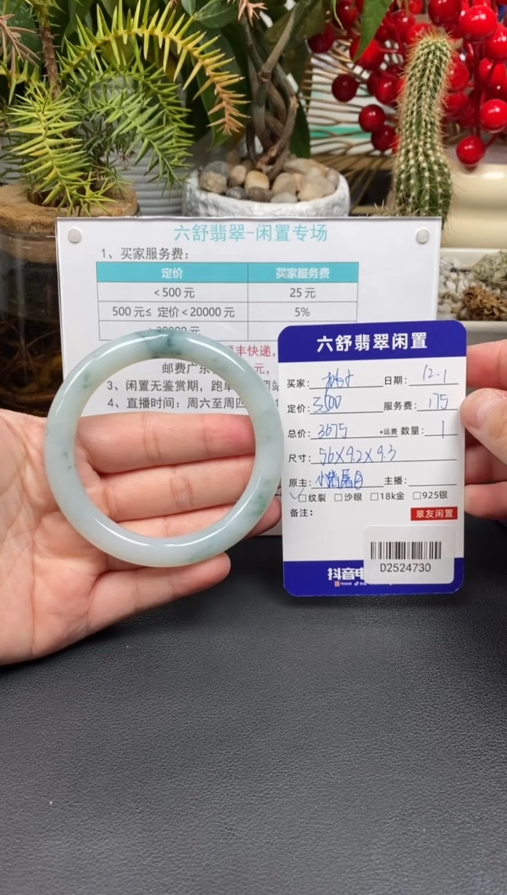 未镶嵌手镯翡翠?D2524730