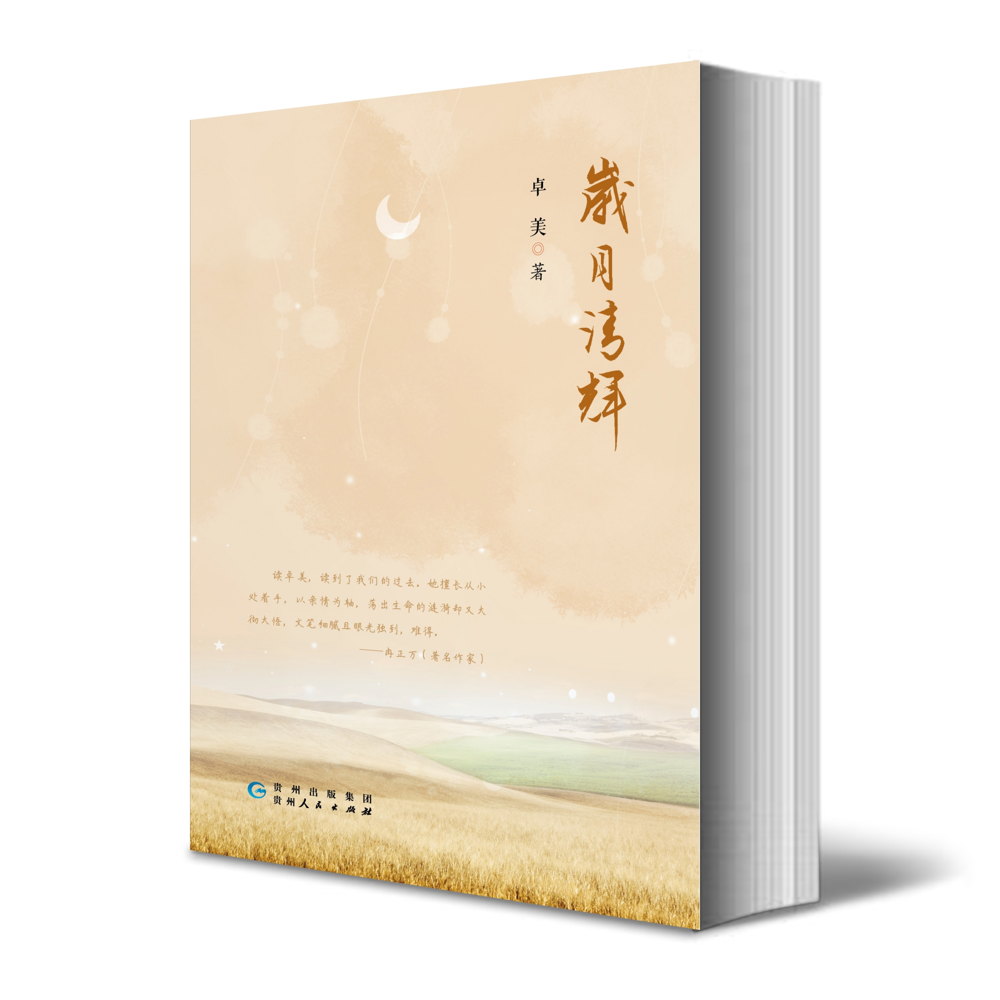 《岁月清辉》卓美 著
