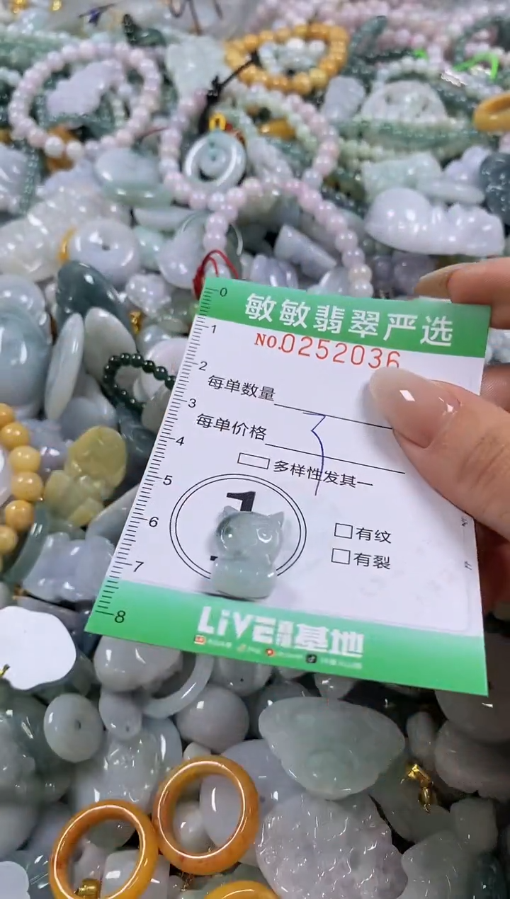 翡翠未镶嵌颈饰闪购0252036