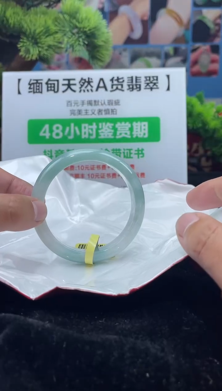【闪购商品】翡翠手镯未镶嵌3            