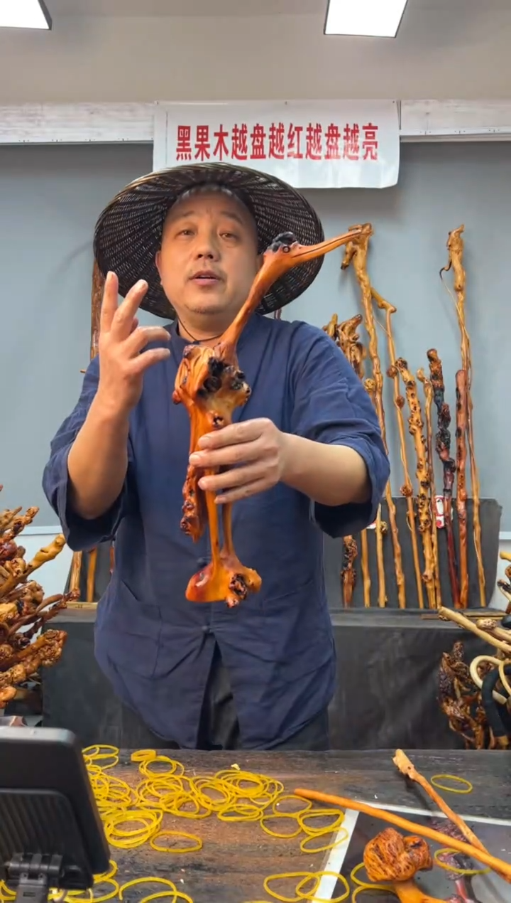 【闪购商品】黑果木其他黑果木009